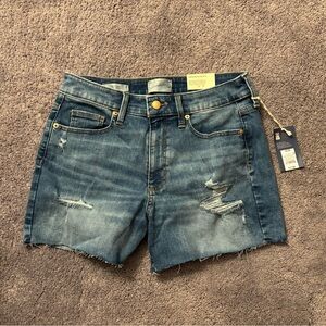 Universal Thread Blue Jean Shorts